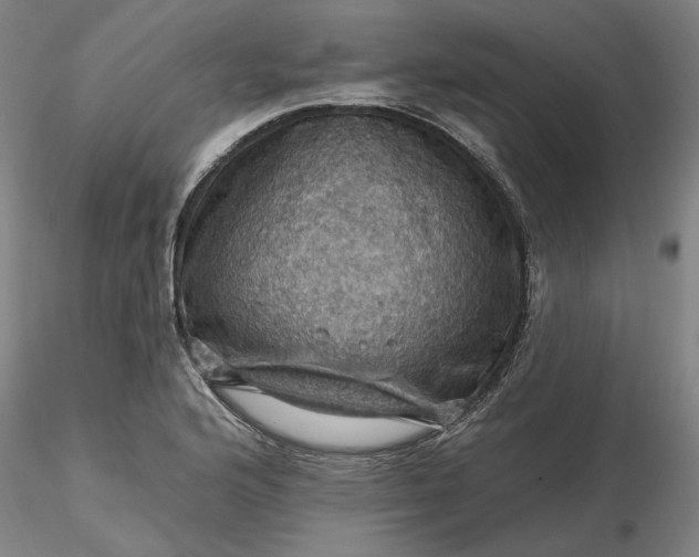 X0000116491176200912231145