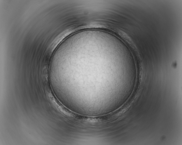 X0000116491177200912231145