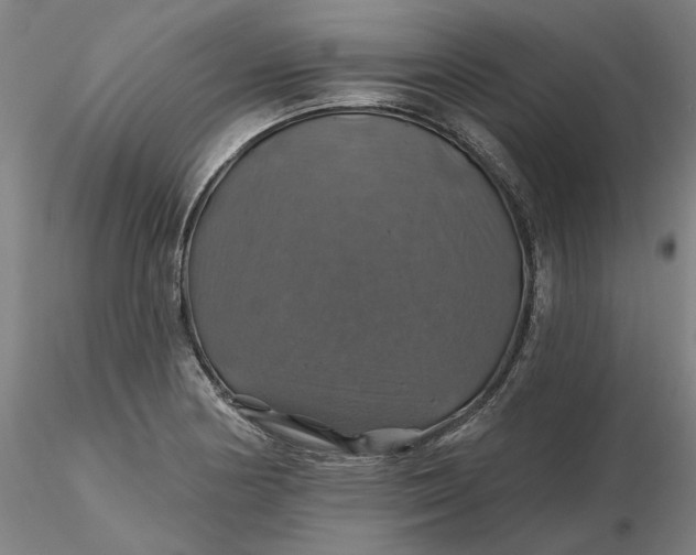 X0000116491178200912231145