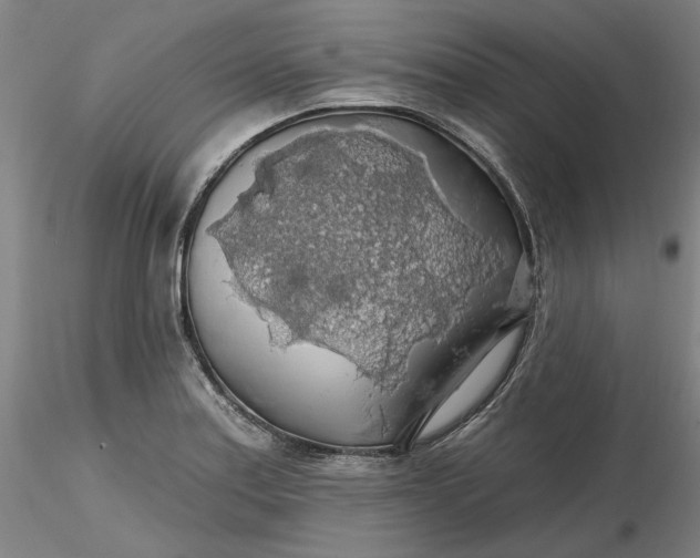 X0000116491179200912231145