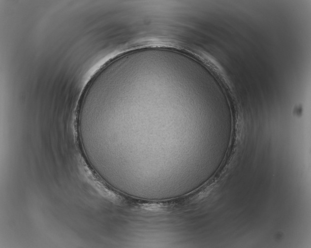 X0000116491182200912231145