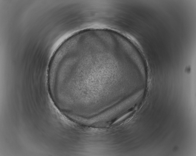 X0000116491183200912231145