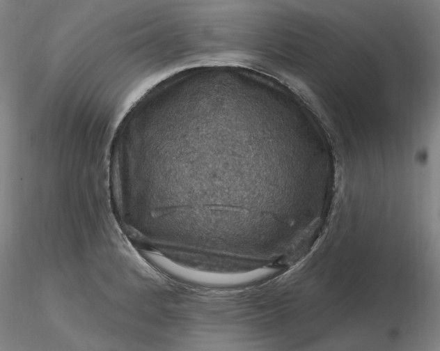 X0000116491184200912231145