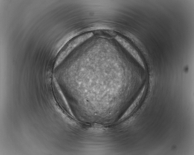 X0000116491185200912231145