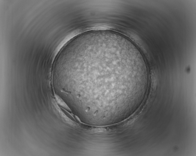 X0000116491186200912231145