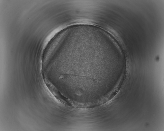 X0000116491188200912231145