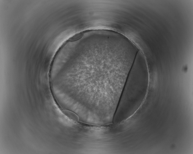 X0000116491189200912231145