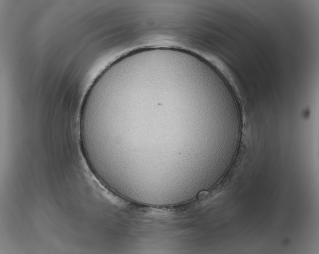 X0000116491191200912231145