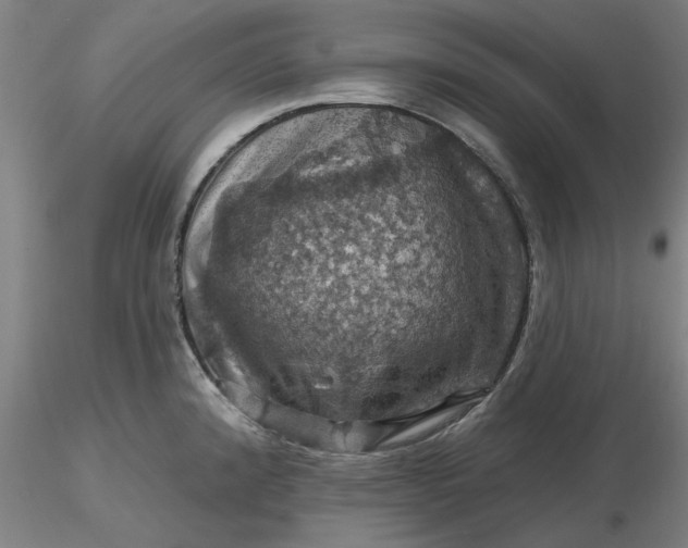 X0000116491192200912231145