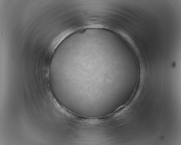 X0000116491193200912231145