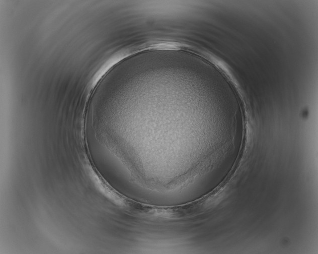 X0000116491194200912231145