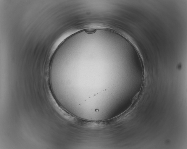 X0000116491195200912231145