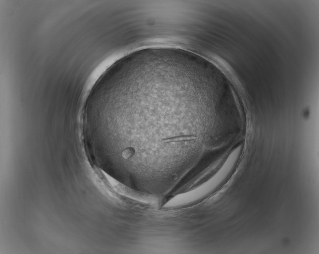 X0000116491196200912231145