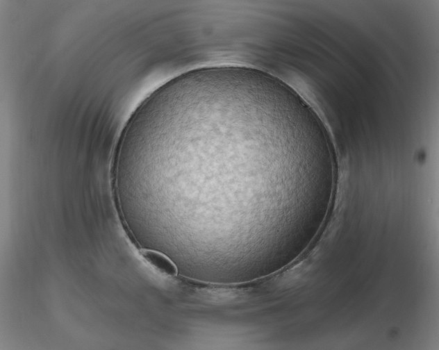 X0000116491197200912231145