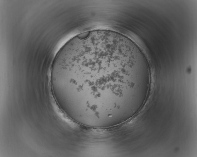 X0000116491198200912231145