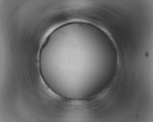 X0000116491199200912231145