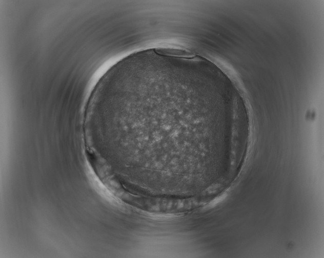 X0000116491200200912231145