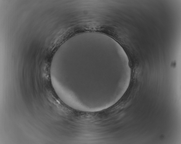 X0000116491202200912231144