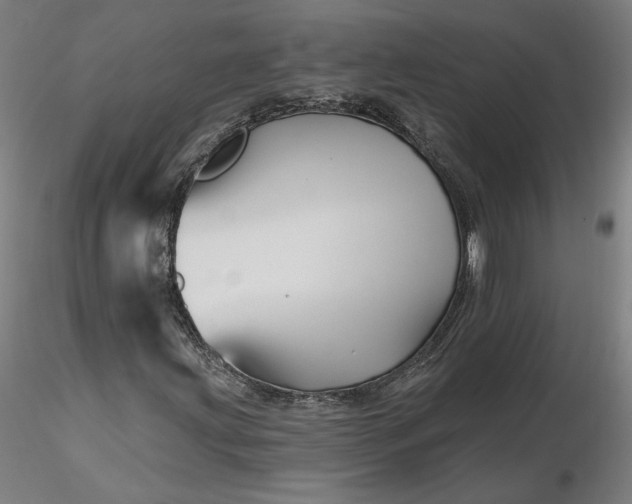 X0000116491203200912231144