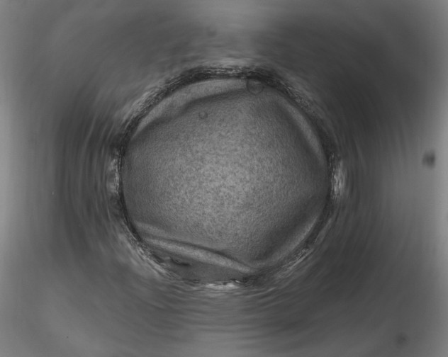 X0000116491204200912231144