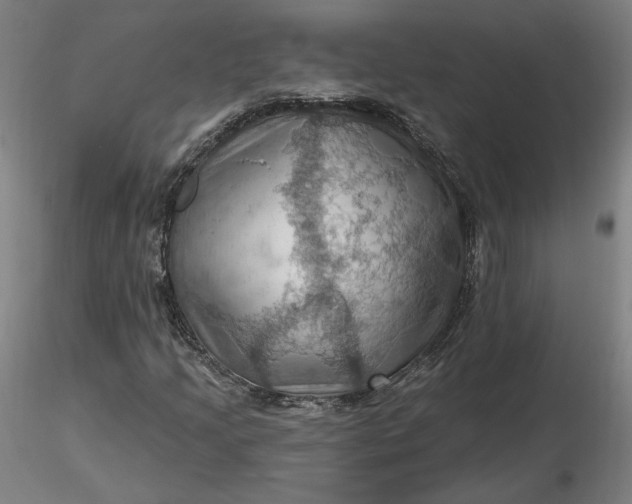 X0000116491205200912231144