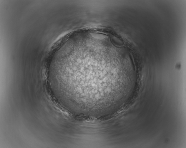 X0000116491206200912231144