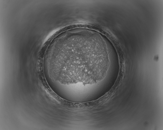 X0000116491208200912231144