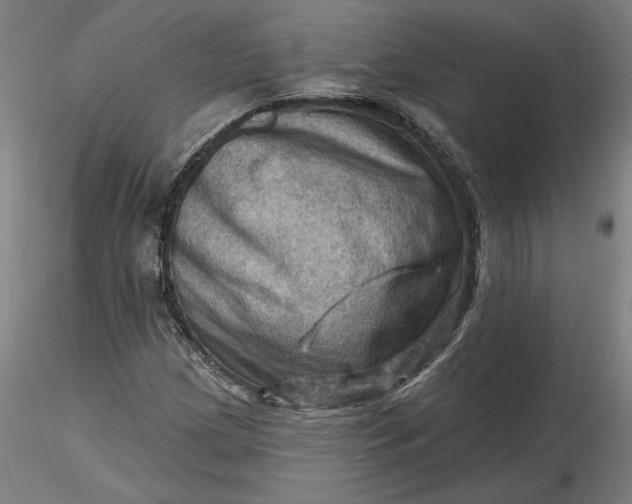 X0000116491209200912231144