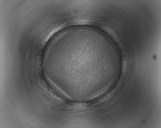 X0000116491210200912231144