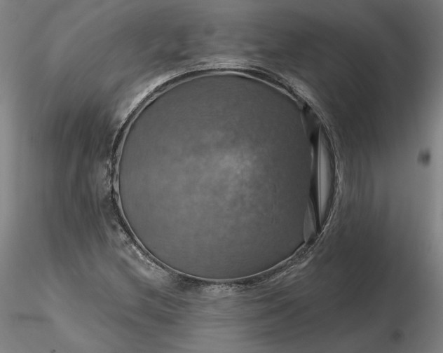 X0000116491212200912231144