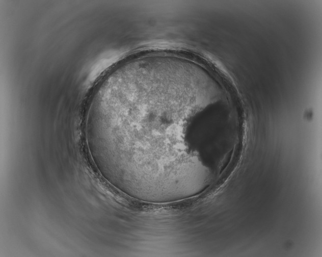 X0000116491213200912231144