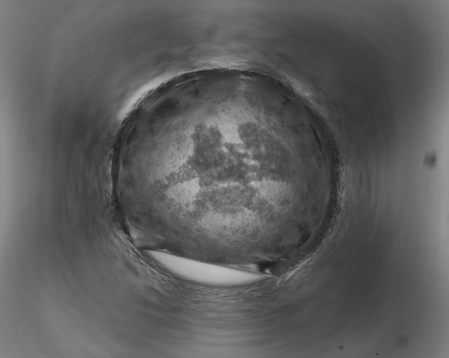 X0000116491214200912231144