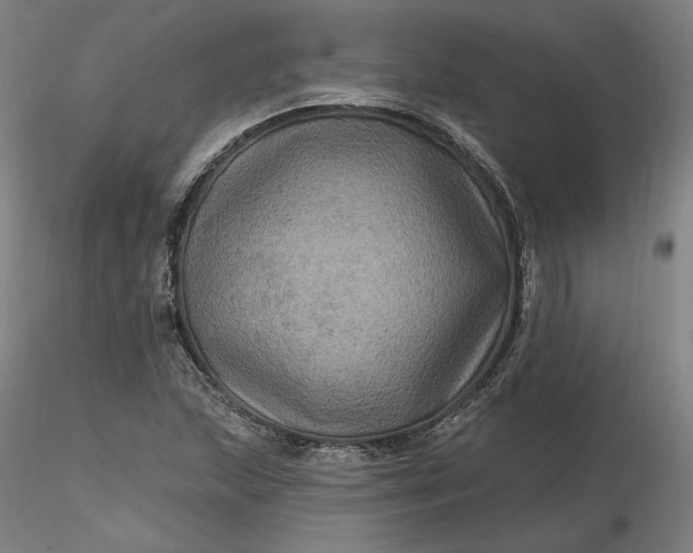 X0000116491215200912231144