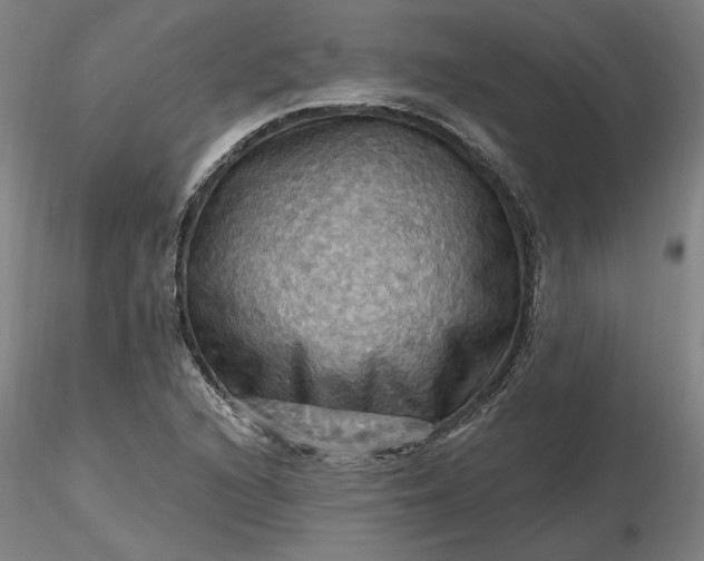 X0000116491216200912231144