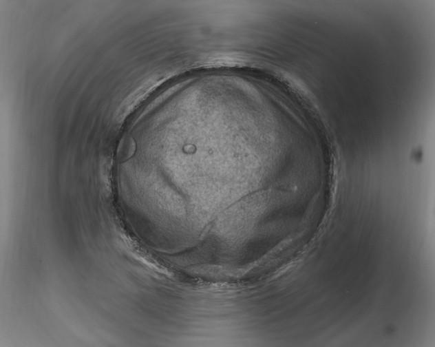 X0000116491217200912231144