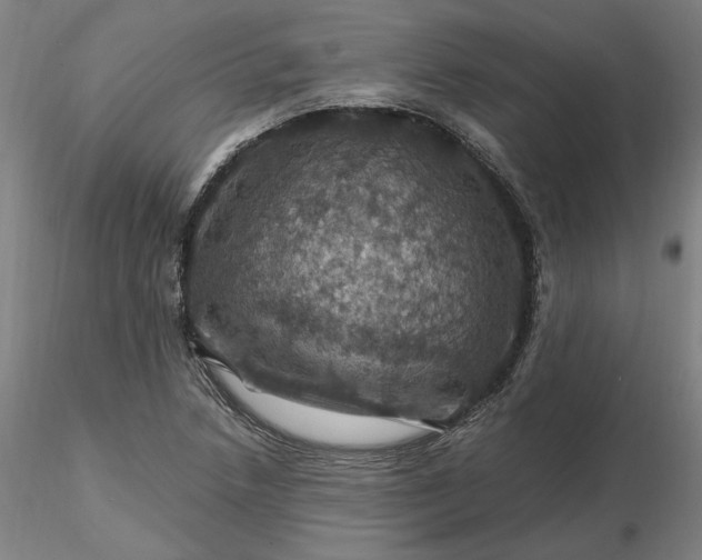 X0000116491218200912231144