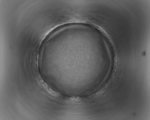 X0000116491220200912231144