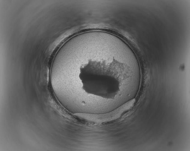 X0000116491221200912231144