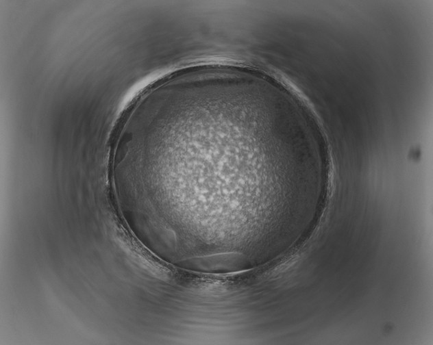 X0000116491222200912231144