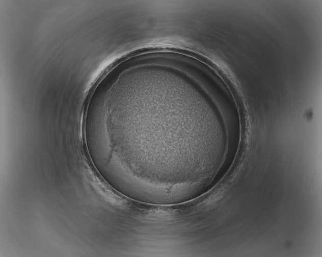 X0000116491224200912231144