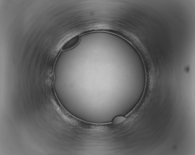 X0000116491225200912231144