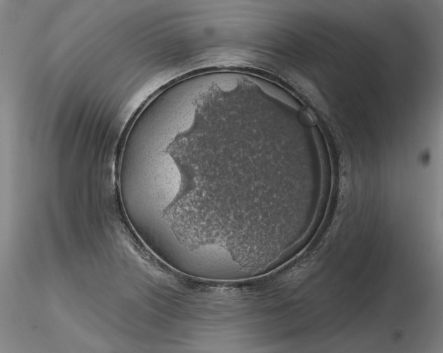 X0000116491226200912231144