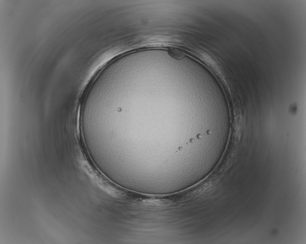 X0000116491227200912231144