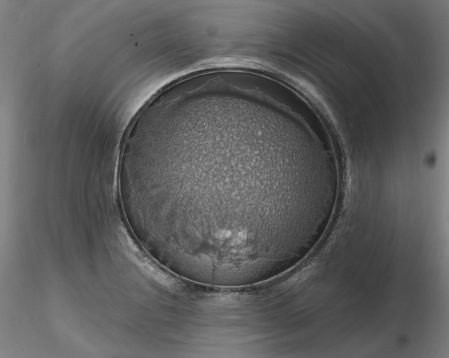 X0000116491228200912231144