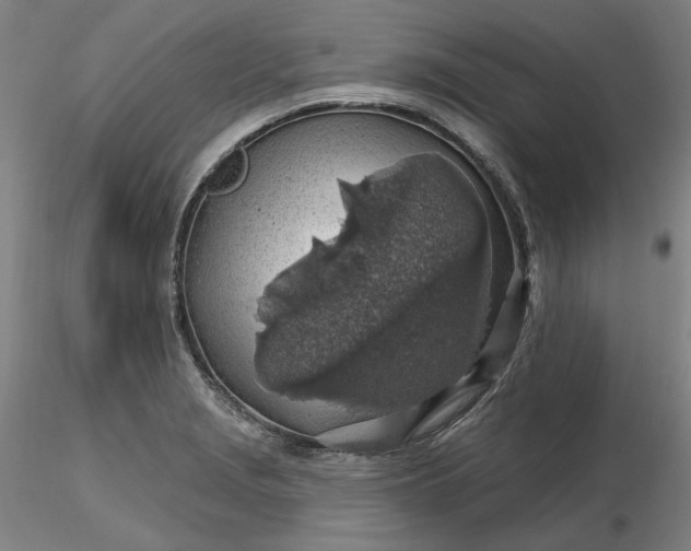 X0000116491229200912231144