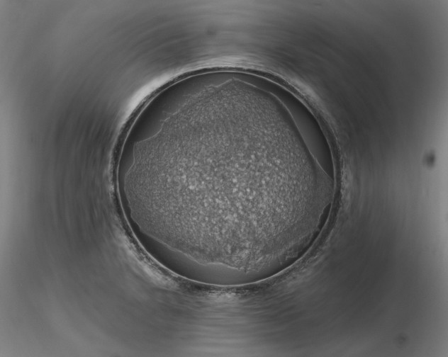 X0000116491230200912231144