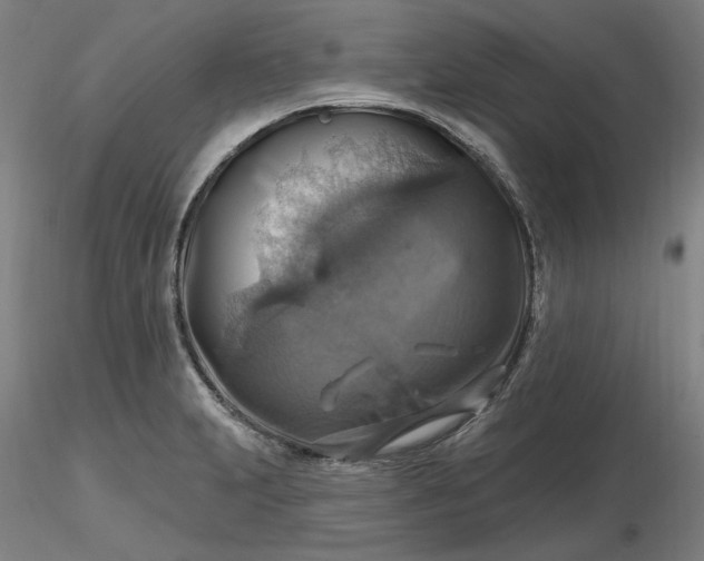 X0000116491231200912231144