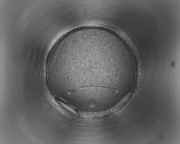 X0000116491232200912231144