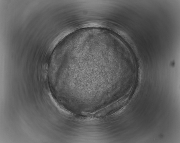 X0000116491233200912231145