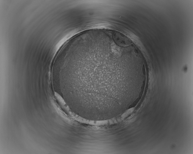 X0000116491234200912231145